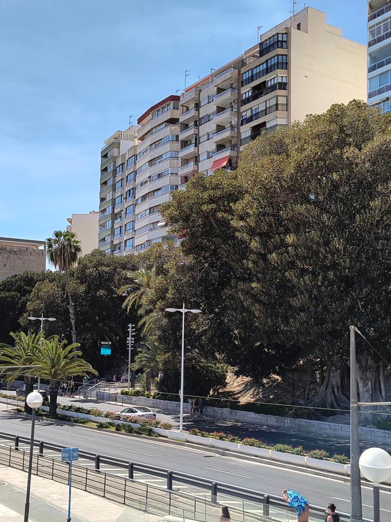 Apartamento Playa Alicante Buitenkant foto